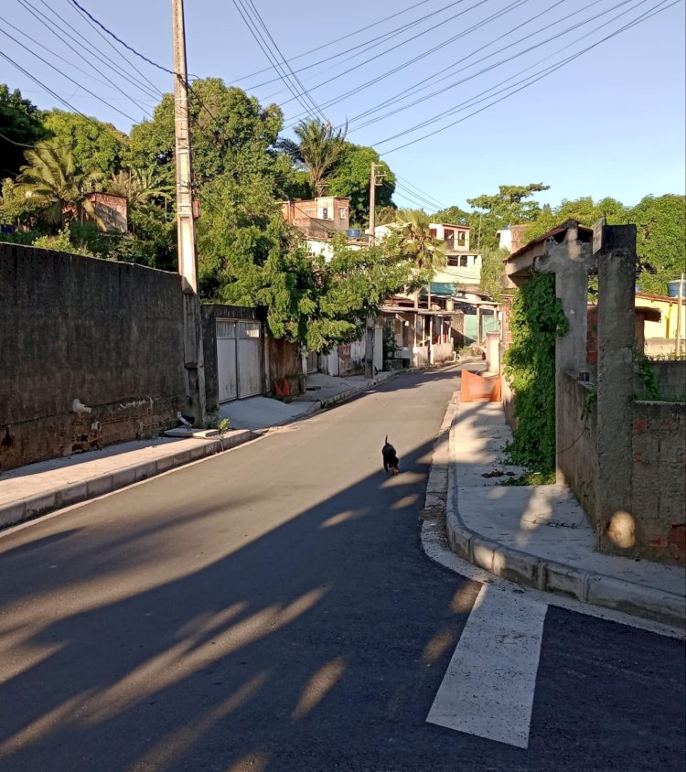 Comunidade tem necessidade da implantação de uma linha do transporte complementar no Recife