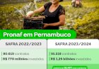 Pronaf investe R$ 1,25 bilhão na agricultura familiar em Pernambuco, aumento de 63,11% em relação à safra 2022/2023