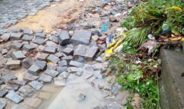 Moradores de Dois Irmãos reclamam de rua esburacada e cobram medidas