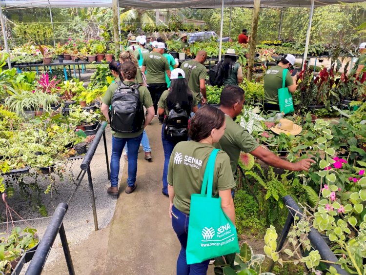 Senar-PE abre inscrições para o processo seletivo 2026.2 de cursos técnicos gratuitos semipresenciais